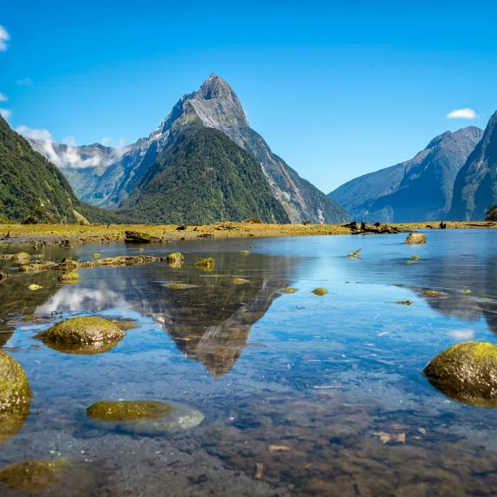 Nieuw Zeeland stage down under